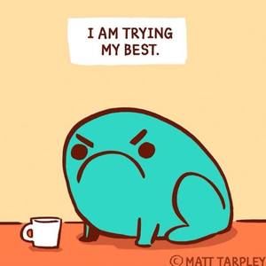 Meet your Posher, Liz